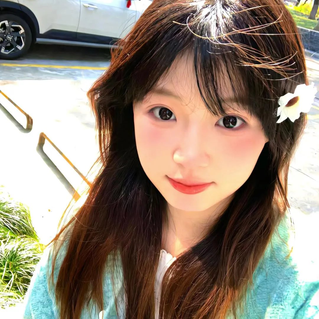 亚历克西纳之谜 封面
