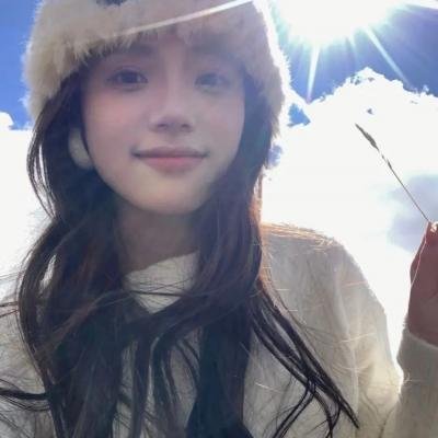 我的阿米什人双重生活 封面