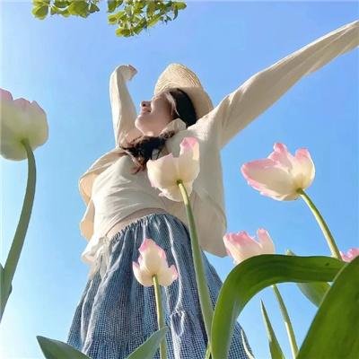 请问芳名 封面