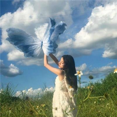 最美一枝花 封面